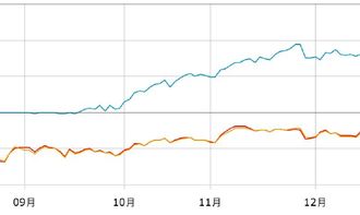 看準(zhǔn)網(wǎng)