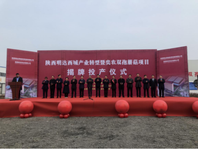 陜西第一家工廠化種植雙孢蘑菇生產(chǎn)線在勉縣建成投產(chǎn)