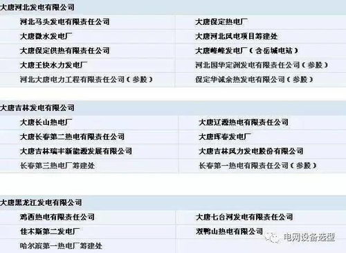 五大電力集團(tuán)公司下屬電廠 部分 明細(xì) 留著很有用