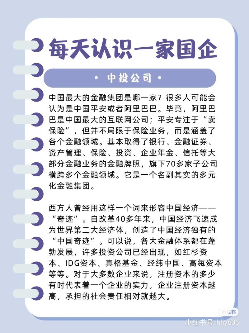 中國投資有限責任公司(china investment co